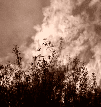 foto de uma queimada